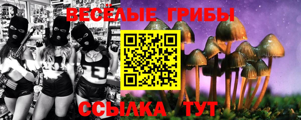 Галлюциногенные грибы Psilocybine cubensis Михайловка